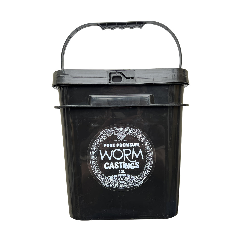 WORM CARTEL's Pure Premium Worm Castings